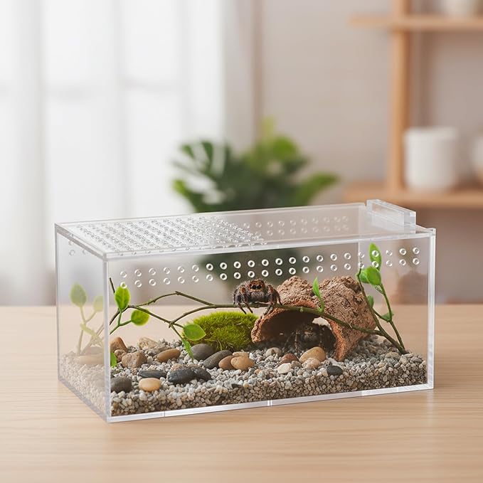 Acrylic Jumping Spider Enclosure Kit,Reptile Tank Escape Proof,Breathable Reptile Terrarium-High Transparency-Tweezer & Temp Sticker Included【No Assembly】