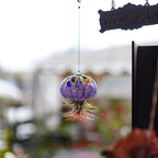 H&D HYALINE & DORA Hanging Hand Blown Art Glass Jellyfish Air Planter Terrarium Decor for Garden Porch Windowsill (No Plants)