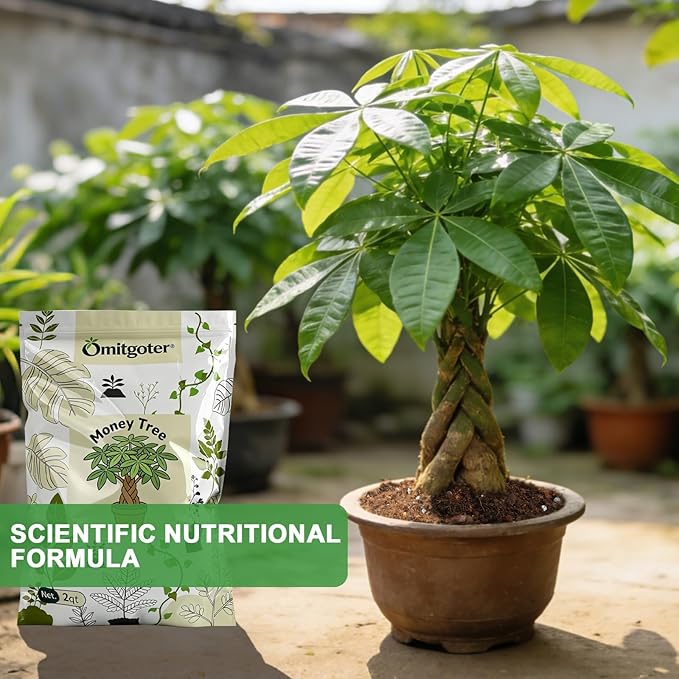 All-Natural Money Tree Soil & Indoor Potting Mix 2QT - Drainage-Enhanced Plant Soil for Healthy Indoor Plants