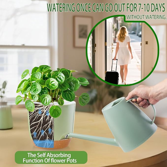 7.2 Inch Self Watering Orchid Pots for Indoor Plants,Macetas para Orqudeas,Flower Pots for Indoor Plants with Holes（Green）