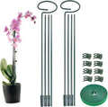 2 Set Metal Plant Sticks Support Tall 48 Inch Adjustable Plants Stem Support Rod Amaryllis Holder Stake Garden Flower Rings with 20PCS Clips 16.5' Plant Ties for Outdoor Indoor Plants