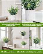 Taybonds Artificial Eucalyptus Plants in White Ceramic Pots, 2 Pack Faux Greenery Decor with Different Leaf Styles, Small Potted Plants for Shelf, Bathroom, Bedroom, Office Desk, 9.05" Tall
