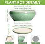 SQOWL Succulent Planter 12 Inch - Ceramic Bonsai Pots with Drainage Hole and Saucer, Large Shallow Planter, Bowl Round Planter for Indoor Outdoor Plants Flower, Room Decor, Birthday Gifts, Green
