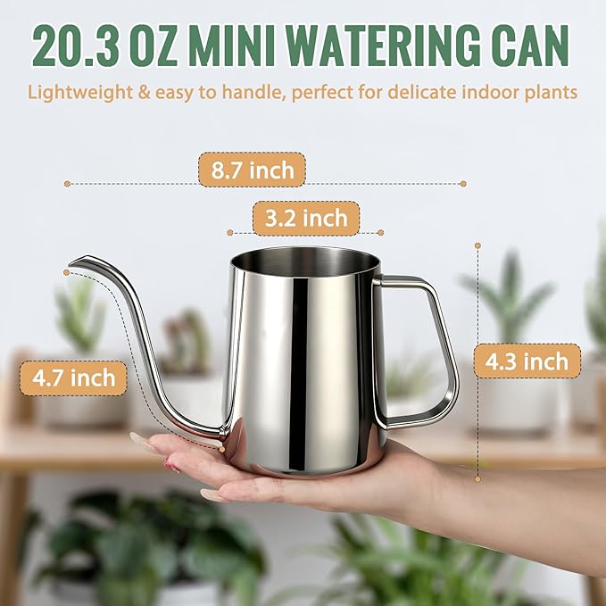 Small Watering Can for Indoor Plants - 20 oz Mini Indoor Watering Can with Long Spout Gooseneck Rust-Proof Stainless Steel Tiny Watering Kettle for Small Plants