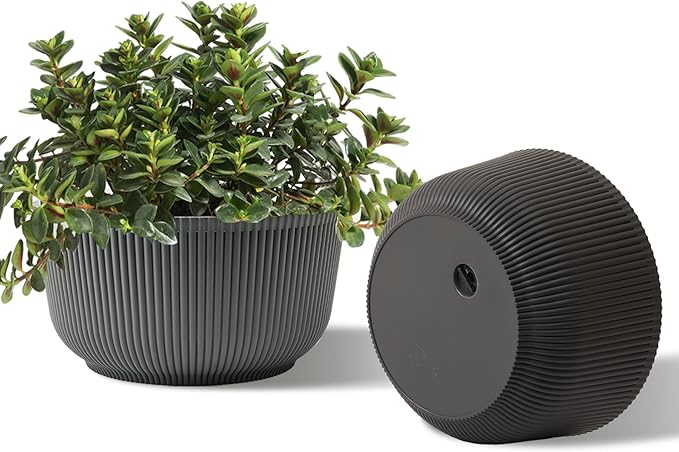 T4U 8 Inch Self Watering Pots for Indoor Plants, 2 Pack Plant Pots, Self Watering Planter for Indoor Plants, Durable Plastic Pots (2 Pack, 8", Gray)