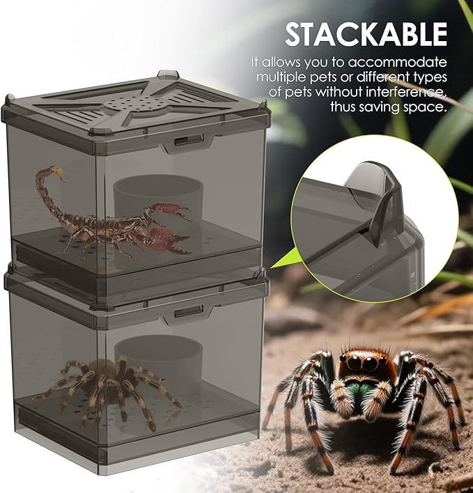 Spider Habitat Kit - Ready-to-Use Box for Small Insects,Dubia Roach, Cockroaches, Crickets, Scorpions, Centipedes, Mantises & Snails 3.74''x3.15''x3.35''(No Assembly Needed)