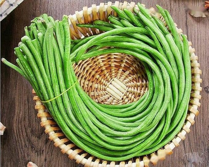 Bundle: Yard Long Pole Bean Seeds+ Ping Tung Long Eggplant Seeds