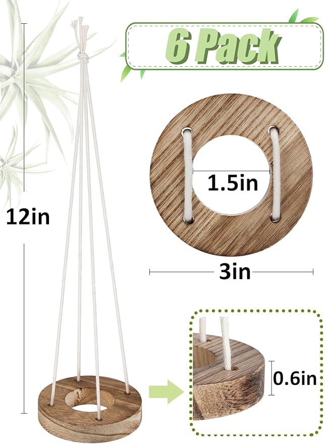 6 Pcs Hanging Wooden Air Plant Holder - 3" Round Airplants Live Hanger with Ropes, Rustic Tillandsia Succulent Display Container Stand for Home Office Decor Housewarming Gift (Excluding Plants)