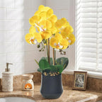Orchids Artificial Plant in Ceramic Pot 18.5" Faux Orchid Phalaenopsis Flowers Arrangement for Home Office Table Centerpiece Indoor Decor, Yellow