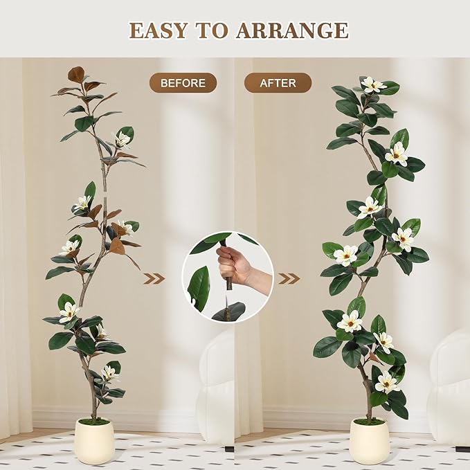 7ft Artificial Rubber Tree with 8 Pcs Magnolia Flowers,Tall Fake Tree with White Planter and Moss Decor,Faux Plants Indoor for Home Living Room Porch Decor
