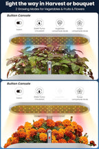 inBloom 12 Pods Hydroponics Growing System Indoor Garden with LED Grow Light and Pod Kit, Plants Germination Kit with 4.2L Water Pump Accelerate, Height Adjustable, Gardening Gifts for Women, White