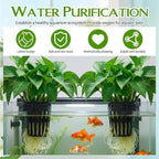 Xthrotsenk 2 Pcs Aquarium Plant Holder with 3 Size Hooks Hanging Fish Tank Plant Holder with 16 Hooks 4 Suction Cups for Fish Tank Cultivation Aquascape Decorations White Black