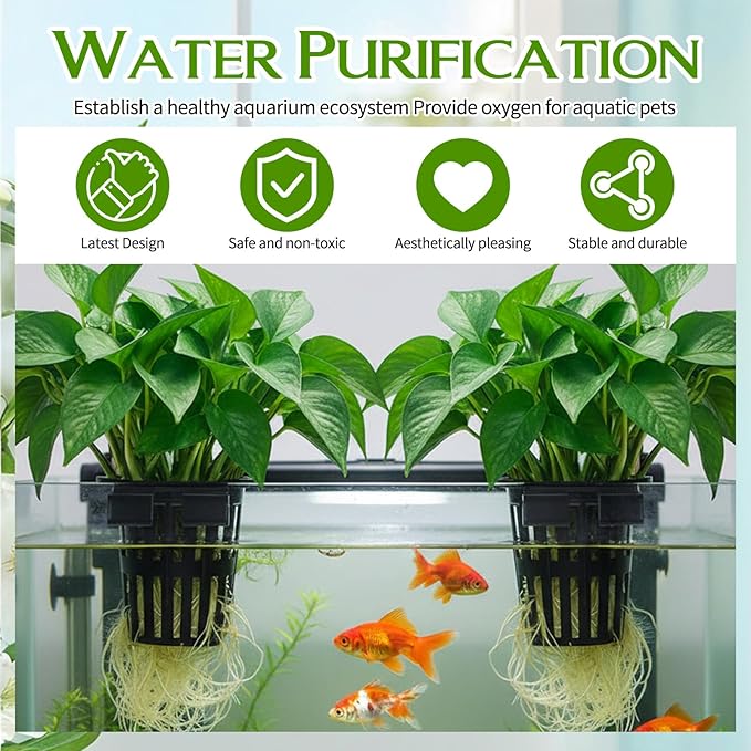 Xthrotsenk 2 Pcs Aquarium Plant Holder with 3 Size Hooks Hanging Fish Tank Plant Holder with 16 Hooks 4 Suction Cups for Fish Tank Cultivation Aquascape Decorations White Black