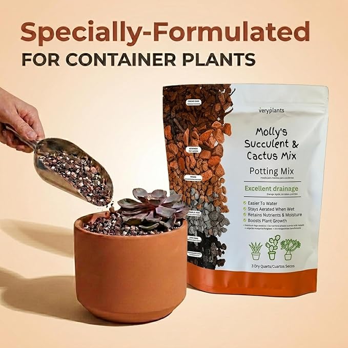 Molly's Succulent Mix - Premium Gritty Soilless Potting Mix for Succulents, Cactus and Bonsai - Contains Akadama, Hyuga, Bark Fines, Pumice, Lava Rock, Mycorrhizae 3 Dry Quarts