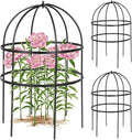 2 Pcs Jardin Bird Cage Plant Support 24" H Large Sturdy Grow-Through Flower Support Peony Cage Climbing Plant Support Trellis Sculptural Garden Decor for Perennial Flowers (Black)