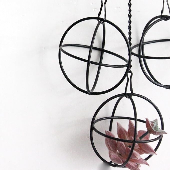6 Set Air Plants Hanging Holders Black Metal Himmeli Decor Modern Geometric Airplants Planter Air Fern Plants Hanger for for Home for Plant Lovers