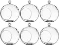 WGV Hanging Terrarium Globe, Width 5", Height 6", DIY Air Succulent Planter, Clear Glass Vase Orb with Flat Bottom, Candle Holder for Windowsill Outdoor Garden Decor, 6 Pieces Bulk