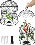 Garden Cloches for Plants 2 Pack Metal Plant Protectors from Animals Chicken Wire Cloche Updated Plant Cages for Outdoor Plants Vegetables Seedlings 13" D x 14" H