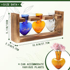 Plant Terrarium Propagation Stations Faith Hope Love Hydroponics Home Garden Decoration Gift for Women with Wooden Stand Heart Shaped Colored Glass Vase
