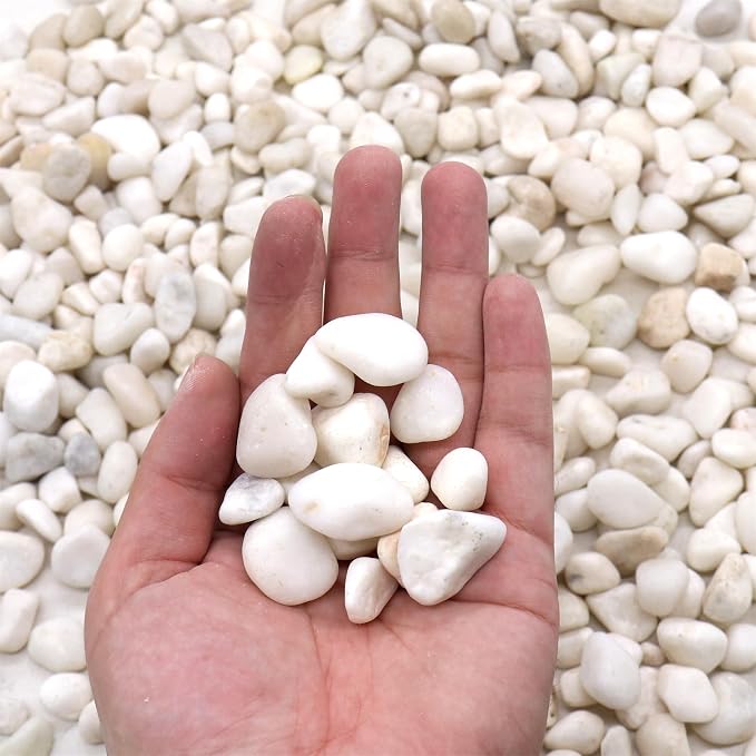 Rocks for Plants. White Lightly Polished Decorative Pebbles. 0.5 to 1 Inch 18 lbs. for Garden, Landscaping, Indoor, Vase fillers, Crafting, Succulents, pots, Plants