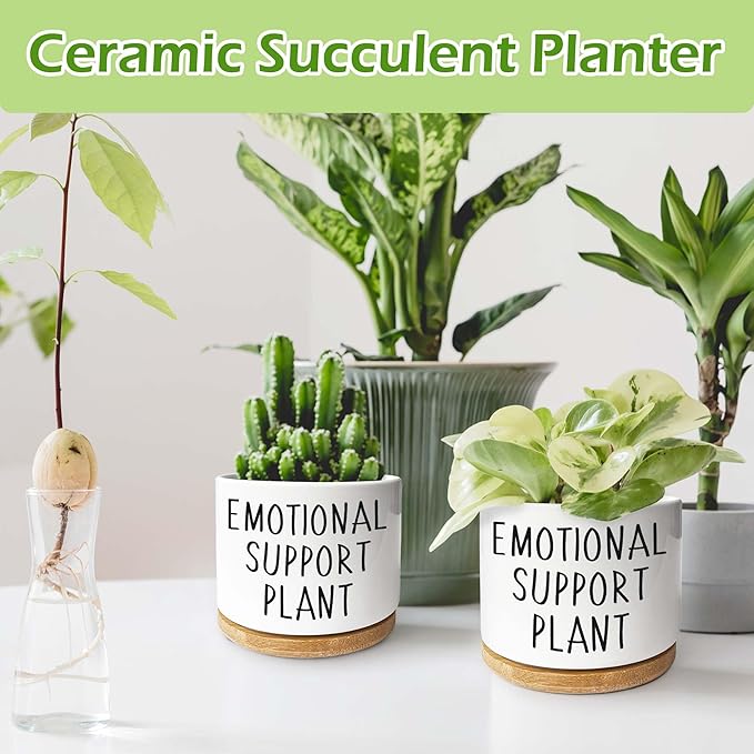 Kwtzkuo® Emotional Support Plant, Funny Succulent Pots, 3.5 inch Ceramic Flower Plant Pots, Cute Cactus Planters with Drainage Hole, Small Cute Planter Gift