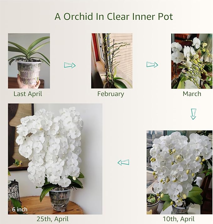 6 inch Orchid Pots with Holes for Repotting with Excellent Airflow, Set of 1, Double Layer Plastic Imitate Ceramic Orchid Planter, Clear Orchid Pot Match Decorative Orchid Container