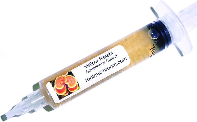 Root Mushroom Farm--Mushroom Liquid Cultures/10cc Syringe/Yellow Reishi(Ganoderma Curtisii)
