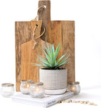 Kurrajong Farmhouse 8" high Artificial Plant in Pot - Small Faux Plant for Desk, Bathroom, Kitchen, Shelf & Coffee Table - Realistic Indoor Plant for Home Decor