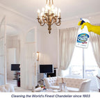 Bundle of Sparkle Plenty Chandelier Cleaner Drip Dry Spray No Wipe & Silk Plant Cleaner Spray No Wipe - Dust Cleaning Supplies for Fake Plant, Artificial Flower, Shower Glass or Window Screen (32 oz)