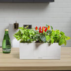 LeGrow Smart Garden Indoor Planter Starter Kit - 3 Patented Design Plant Pots,1 Water Holding Base Tray - (Plants Not Included)