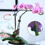 100 Pcs Plastic Plant Support Clips Trellis Clips Garden Clips Tomato Clips for Climbing Plants, Vegetables Plants Climbing Plants Grape Vine to Grow Upright and Healthier