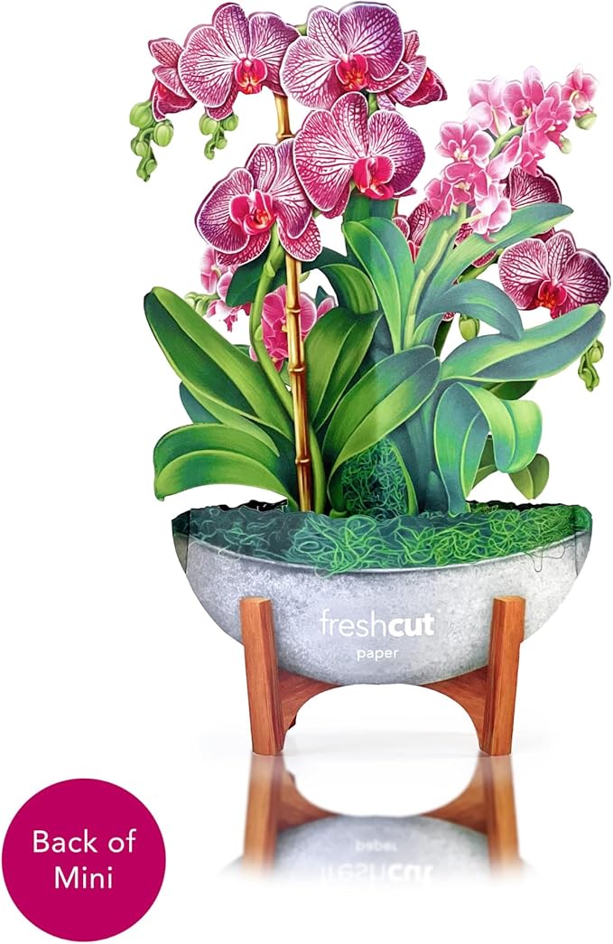 Freshcut Paper Pop Up Cards, Mini Orchid Oasis (Set of 2), 6 Inch Mini Sized Forever Flower Bouquet 3D Popup Greeting Cards, Birthday Card, Get Well Gifts, Blank Notecard & Envelope