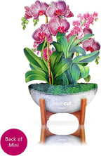 Freshcut Paper Pop Up Cards, Mini Orchid Oasis (Set of 2), 6 Inch Mini Sized Forever Flower Bouquet 3D Popup Greeting Cards, Birthday Card, Get Well Gifts, Blank Notecard & Envelope