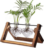 Kingbuy Glass Desktop Planter with Retro Wooden Stand and Plant Terrarium Vase (2 Hearts) for Indoor Home Office Desk Decor Accessories