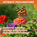 Zinnia Seeds for 2026 Planting, 5000+ Flowers Seeds, 7 Vibrant Colors Mix & Large Bloom, Non-GMO Heirloom Wildflower Seeds for Pollinator Garden Outdoor Borders, Easy to Grow Annual Flowers