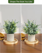 Velener 2 Pcs Small Fake Plants Eucalyptus, Artificial Plants Indoor for Shelf, Potted Eucalyptus Plants for Home/Bathroom/Pottery Barn/Desk/Farmhouse/Coffee Table Decor (Sage Green)