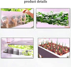FLTRGO Indoor Garden Hydroponic Growing System,3/4 Tier Hydroponics Tower Set,Hydroponic Planter,Plant Vertical Hydroponics,Suitable for Planting Leafy Vegetables,Stem Vegetables