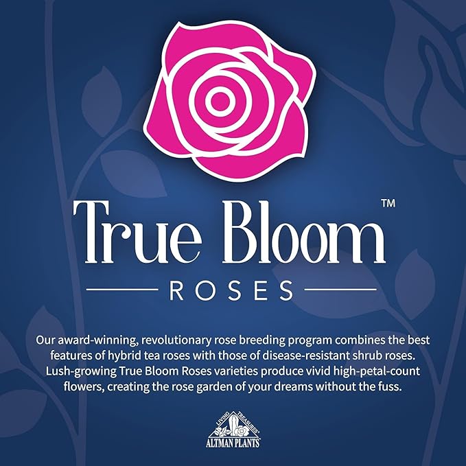 Fresh Roses for Delivery Prime, Red Roses Live Rose Bush Plants, Indoor Rose Plant Lover Gifts, Fresh Flowers for Delivery Prime, Potted Rose Plant Live Plants, Outdoor Plants Live by Plants for Pets