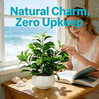 Artificial Peperomia Plant 16.5” Tall Lifelike Faux Greenery in 6” White Ribbed Ceramic Pot Realistic Indoor Fake Branches for Home Office Desk Shelf Bathroom Bedroom Farmhouse Decor