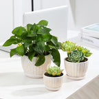 STHIE Ceramic Plant Pots with Drainage Holes and Saucers, Round Flower Pots for Indoor Plant, Diameter 3.3/4.3/5.5 Inches Small Flower Planters Set of 3