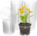 WSMKSZ 3 Inch Clear Nursery Pots, 30 Pack Highly Transparent Plastic Seedling Starter Planters with Drainage Holes and Trays for Flowers, Small Plant Pots for Indoor Plants