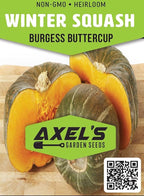 Winter Squash Seeds for Planting – Plant & Grow Burgess Buttercup Squash – Instructions to Plant Non GMO Heirloom Home Outdoor Vegetable Garden – Great Gardening Gift, 2 Packets
