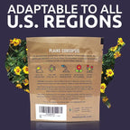 Plains Coreopsis Seeds – Native Flowers – Extra Large Packet – Over 100,000 Open Pollinated Non-GMO Wildflower Seeds – Coreopsis tinctorial