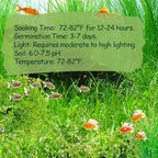 Premium Aquarium Plant Seeds for Planting – 13,000+ Live Mixed Seeds, 8 Varieties – Easy-to-Grow Aquatic Greenery for Lush, Vibrant Fish Tanks