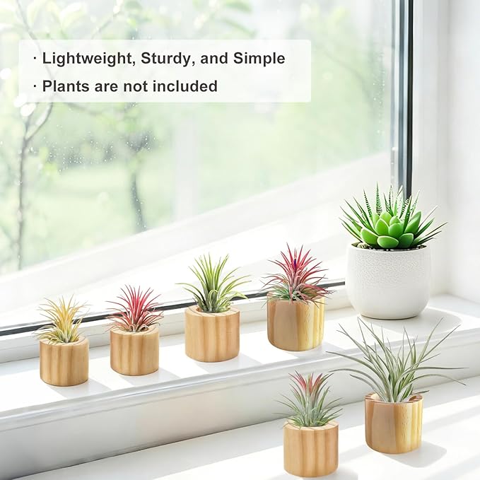Belit 6 Pcs Air Plant Holder, 3 Sizes Wooden Air Plants Live Holders for Home Decor (NO Plant Included)