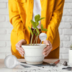 20 PCS Plant Watering Globes,Plastic Clear Watering Bulbs,Self Watering Flower Automatic Watering Device for Home Garden Plants Indoor,Outdoor,Flowerpot,(Large,Medium,Small)