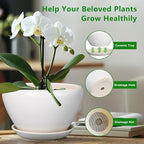 Ceramicfor Ceramic Planter - 9 Inch Plant Pot Indoor with Drainage Hole and Saucer for Outdoor Plants Mid-Century Round Planter Modern Flower Pot for House Garden White