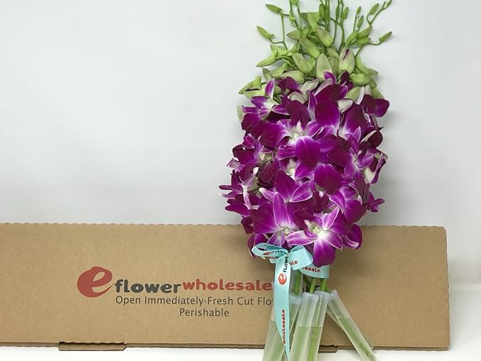 eflowerwholesale - Premium Cut Purple Orchids (10 stems without Vase) (Support Small Business)