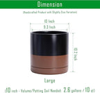 D'vine Dev 10 Inch, Ceramic Planter Pot with Drainage Hole and Saucer, Indoor Cylinder Round Planter Pot, Black/Speckled Tan, 94-O-E-7