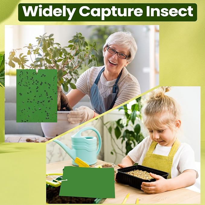 Qualirey 150 Pcs 6 x 8 Inch Sticky Traps for Plant Double Sided Sticky Trap for Gnats with Twist Ties Fly Traps for Fruit Insect Fungus Bugs Indoor Outdoor (Green)